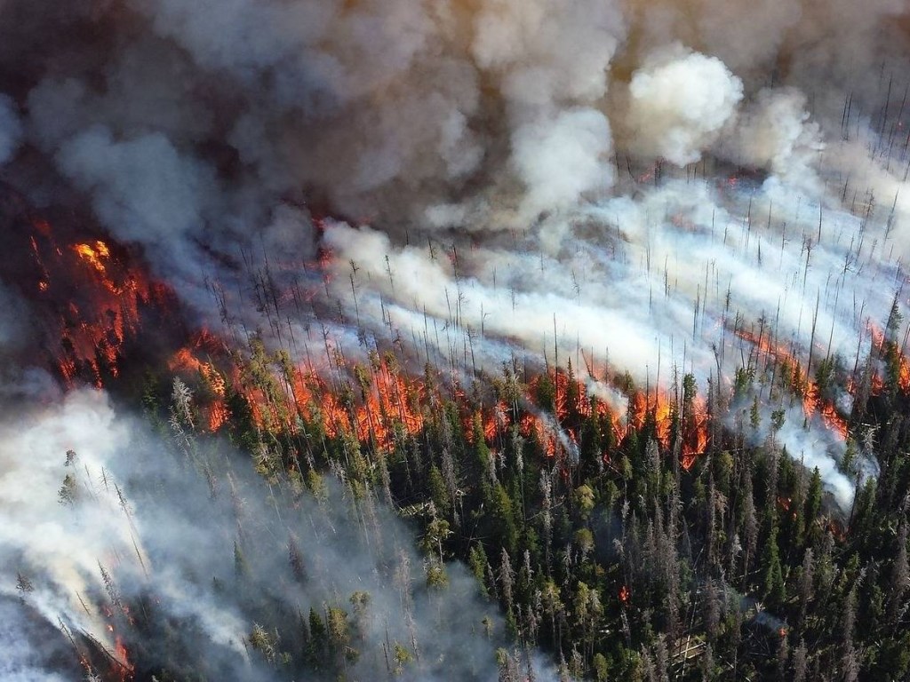 В результате лесных пожаров в Австралии уровень загрязнения воздуха превысил норму в 26 раз