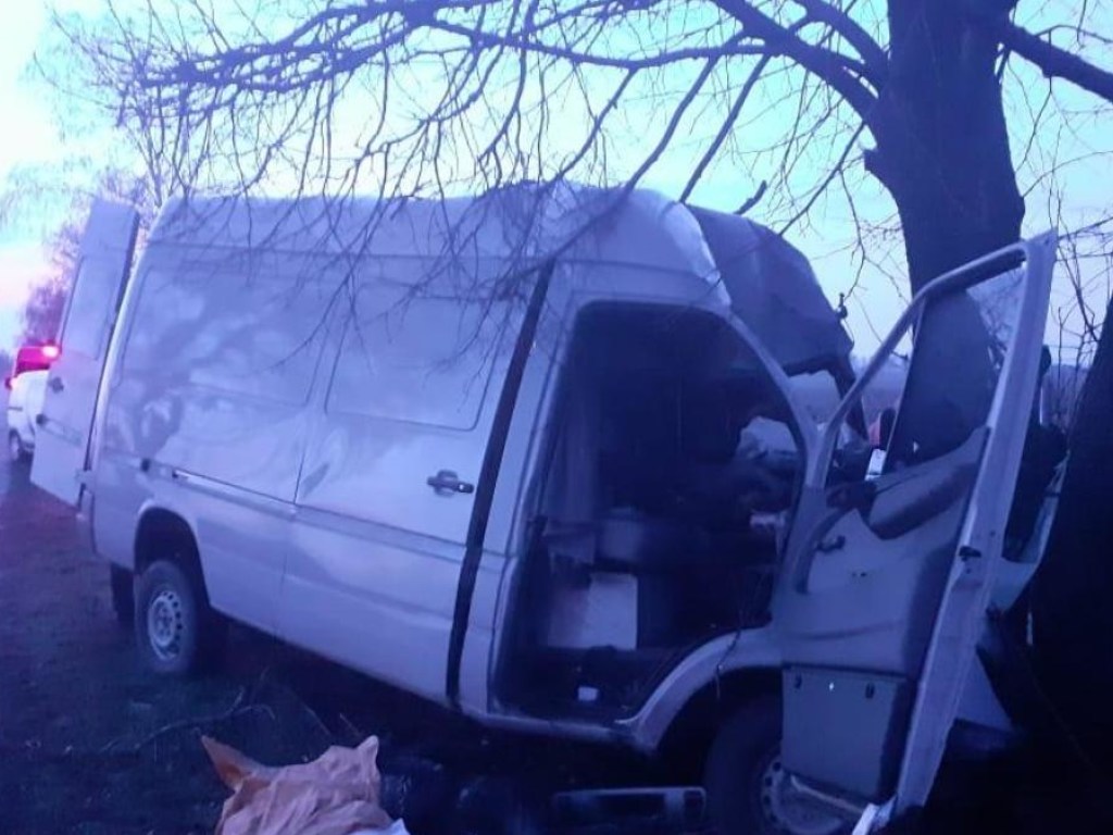 Под Киевом микроавтобус врезался в дерево, есть жертвы (ФОТО)