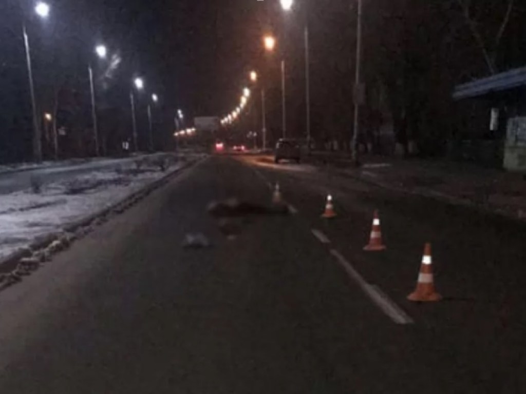 В Славянске автоледи на Peugeot наехала на лежащего мужчину: пострадавший погиб (ФОТО)