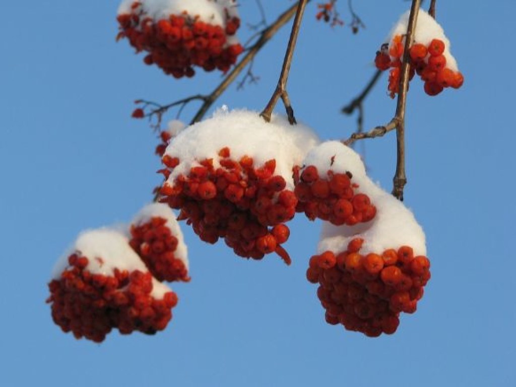 Прогноз погоды на 5 января: В Украине будет облачно, пройдет снег с дождем