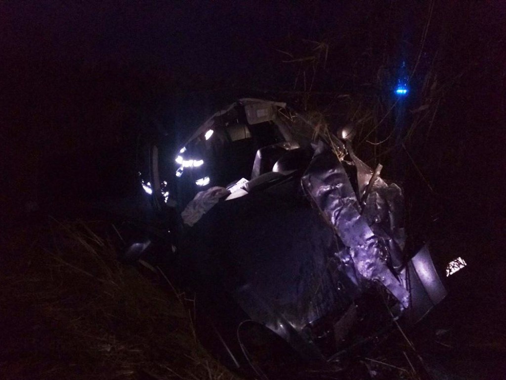 На Днепропетровщине автомобиль вылетел в кювет: пострадавших вырезали из груды металла (ФОТО)