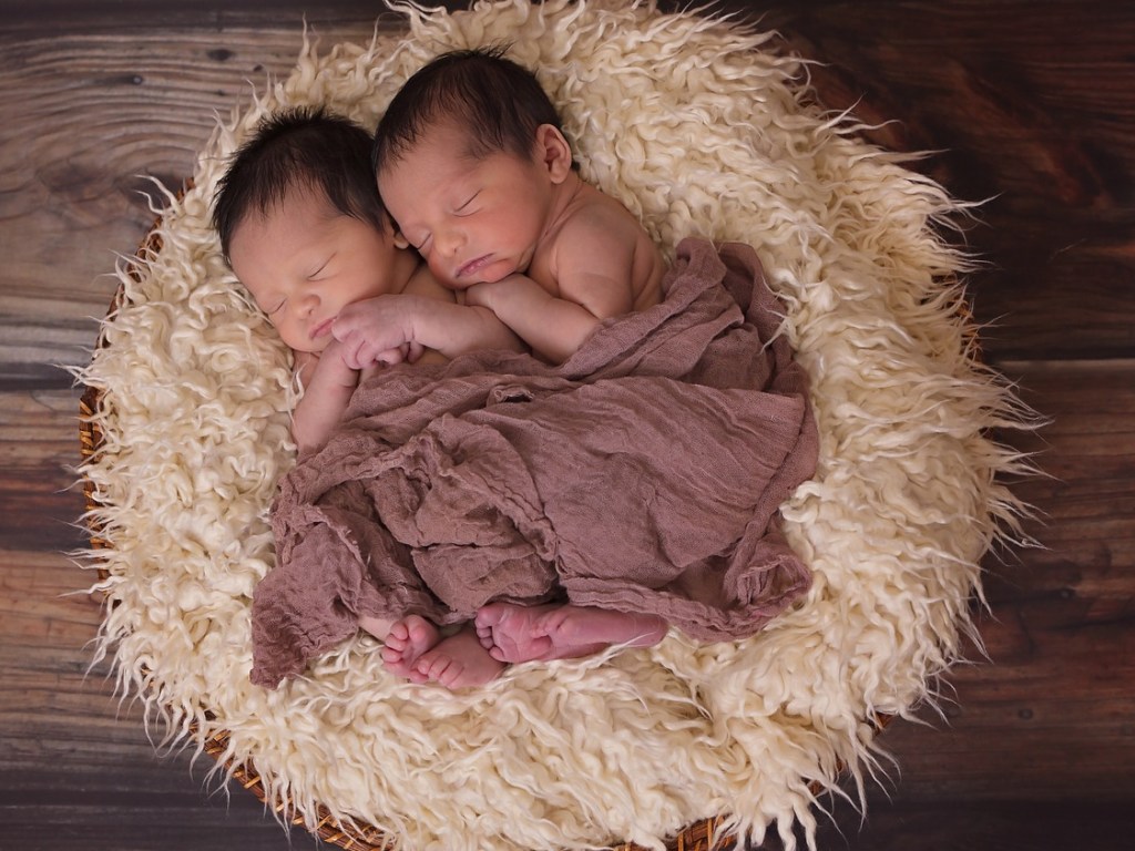 У многодетной матери близнецы родились в разные годы