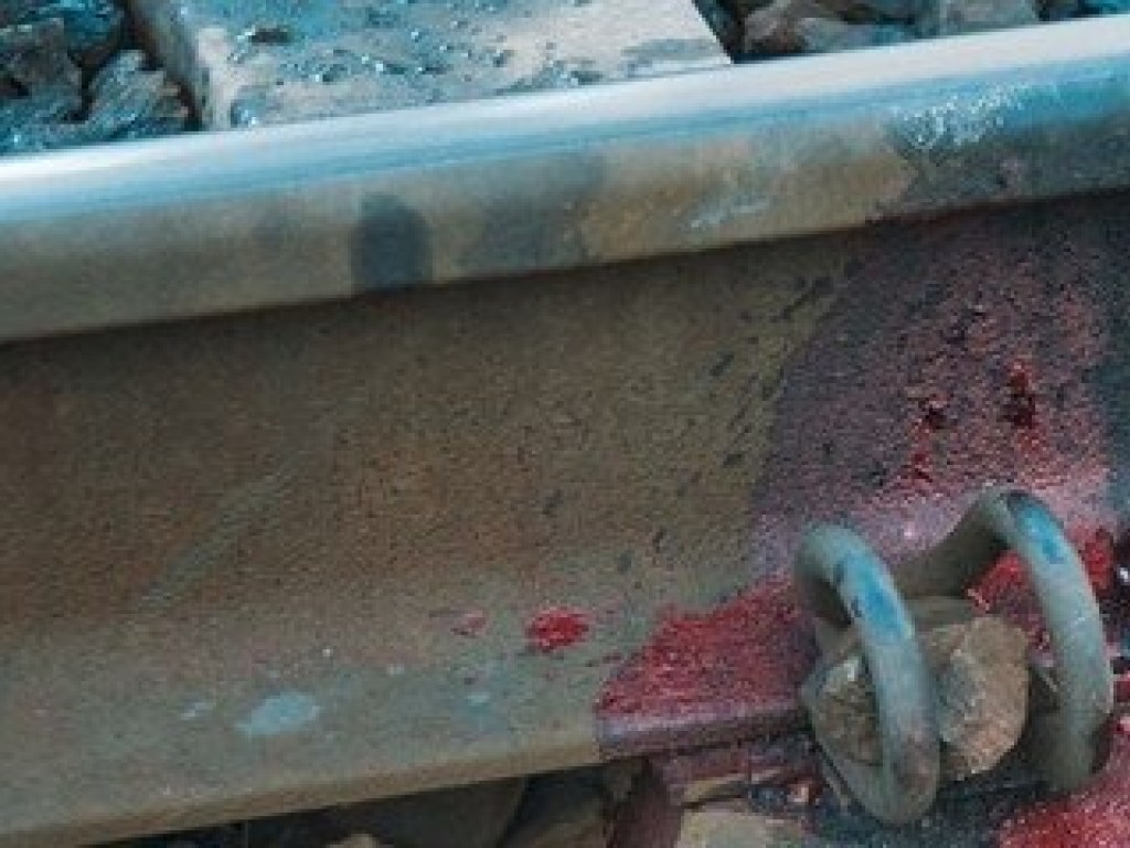 На железнодорожной станции «Николаев» лежал труп мужчины с отрезанной головой (ФОТО)