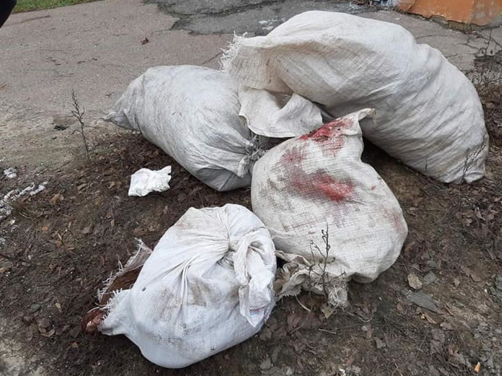 Жуткая находка: в Сумской области на улице лежали мешки с трупами кошек и собак (ФОТО)