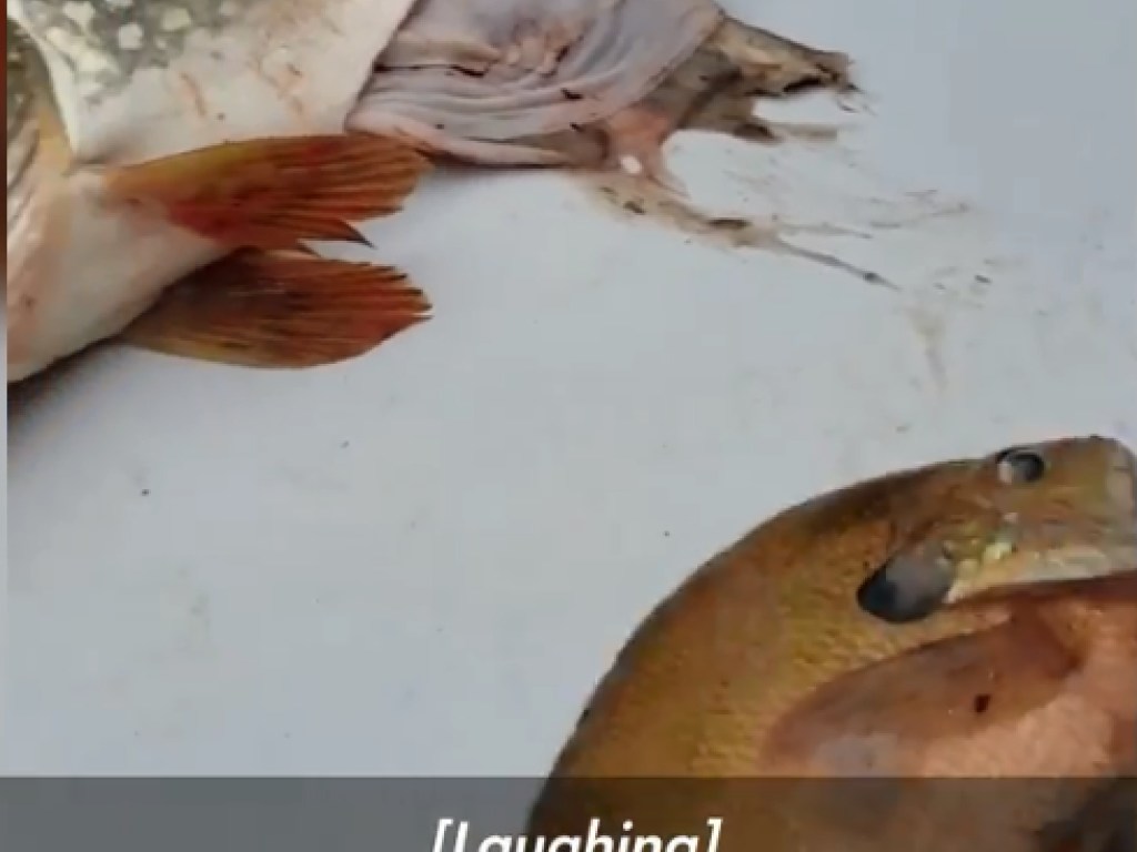 «Оно живое!»: В животе у рыбы обнаружили неожиданную находку (ВИДЕО)