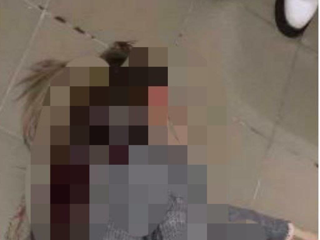 17 ножевых ранений: насильник жестоко расправился с девушкой в Киеве (ФОТО)