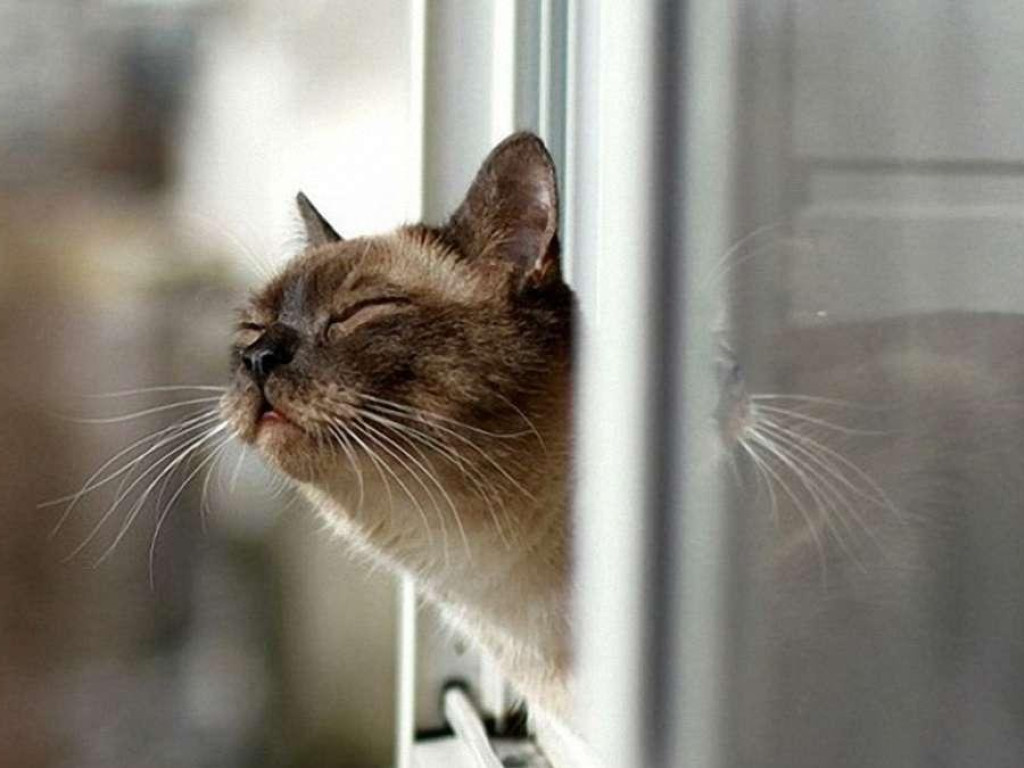 Синоптик: 12 января в Украине будет преимущественно сухо и тепло