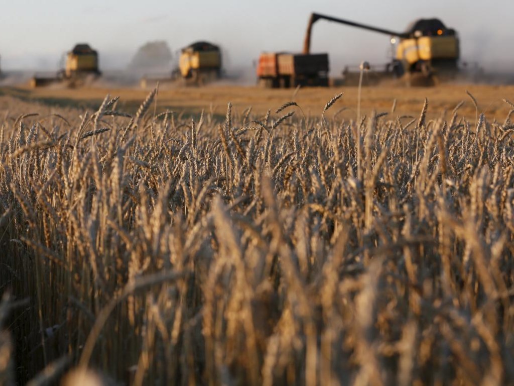 Украина вошла в тройку крупнейших экспортеров сельхозпродукции в Евросоюз по результатам 2019 года