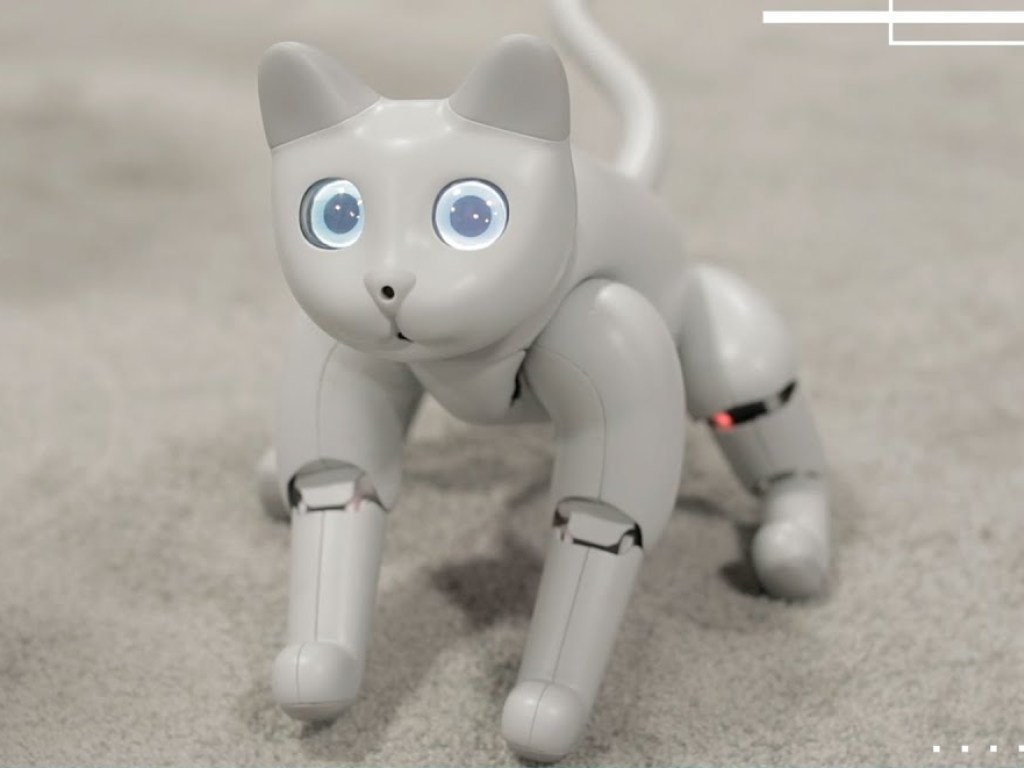 «Для домашнего пользования»: кот-робот ведет себя, как живой (ВИДЕО)