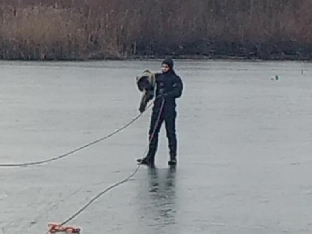 Тела нашли на глубине 100 метров: в Винницкой области утонули два рыбака