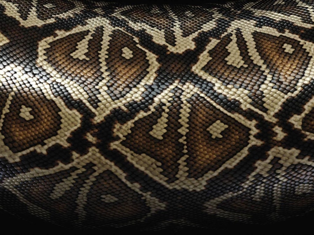 В Индии живет мальчик-змея с редким заболеванием кожи (ФОТО)