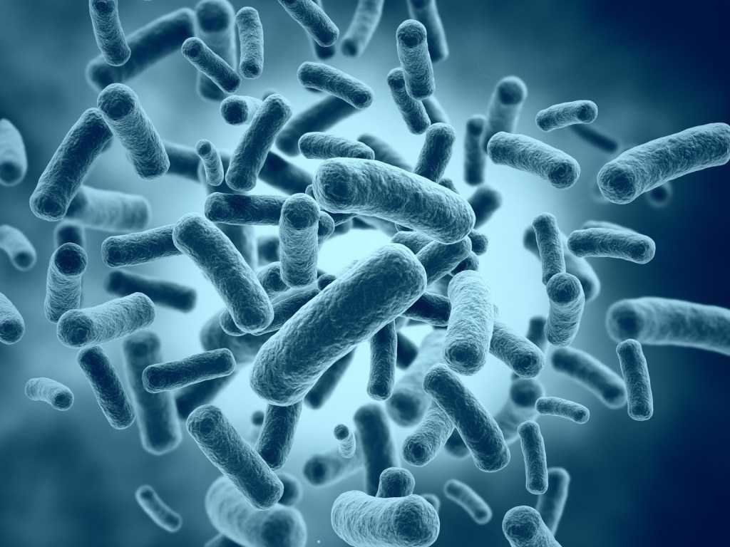 В 2019 году в мире увеличилось количество микробов и бактерий, устойчивых к антибиотикам