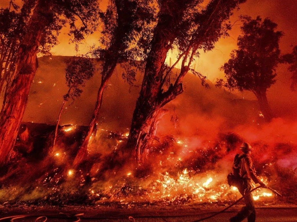 Экологическое бедствие: Дым от горящей  в Австралии растительности наполовину уже обогнул земной шар