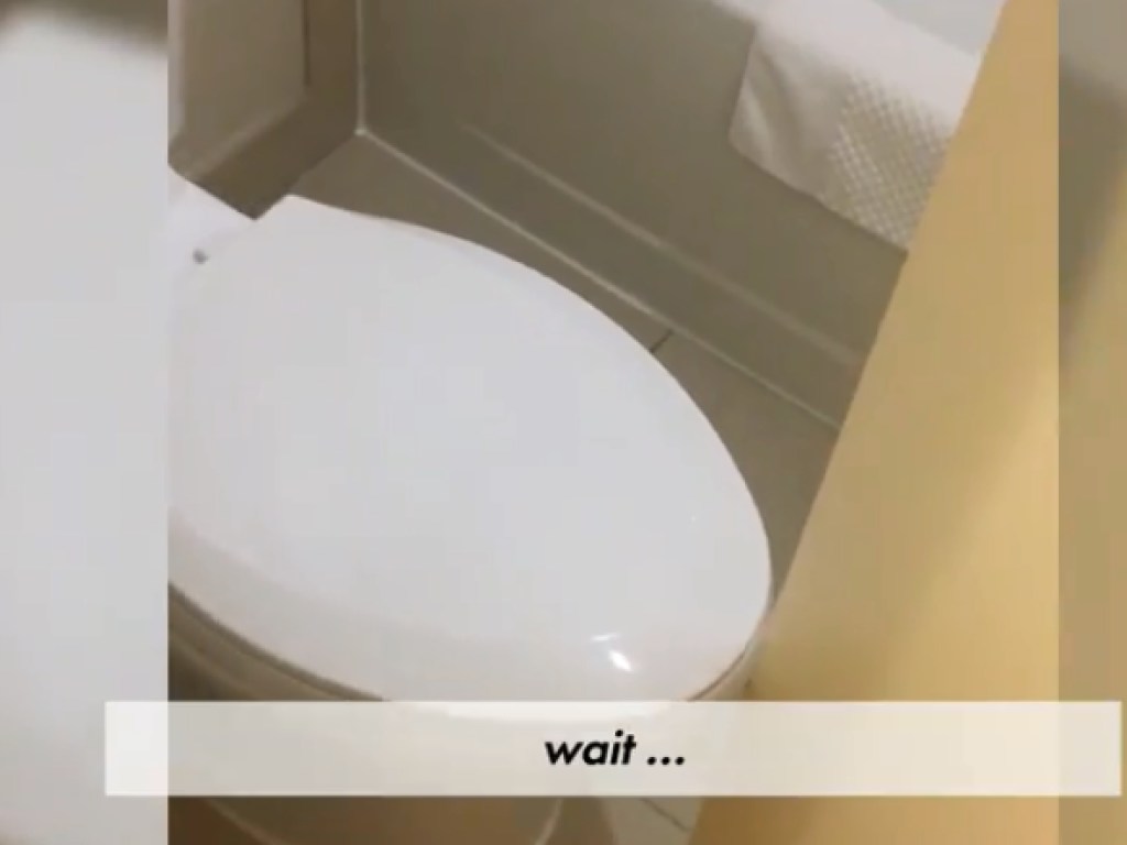Номер для бесстыдников: В элитном отеле Hilton обнаружили туалет со странной дверью (ВИДЕО)