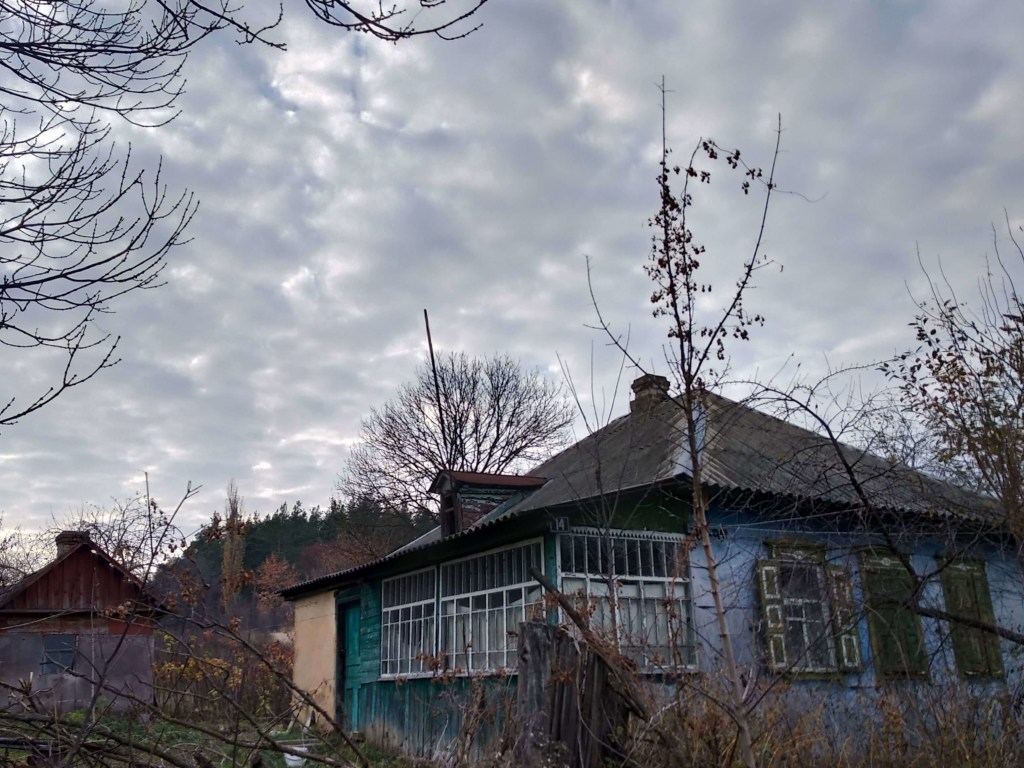 «Мешала отдыхать»: в Черкасской области хозяин повесил собаку на заборе