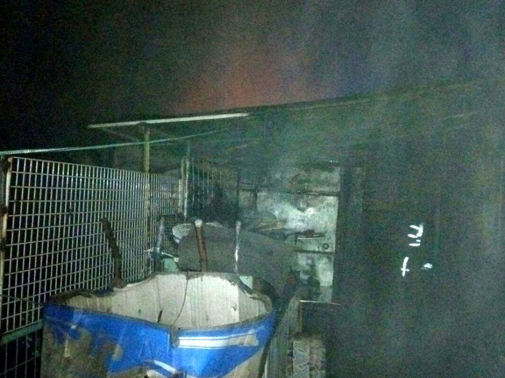 В Одессе произошел пожар в гараже: сгорели автомобиль и дом (ФОТО)
