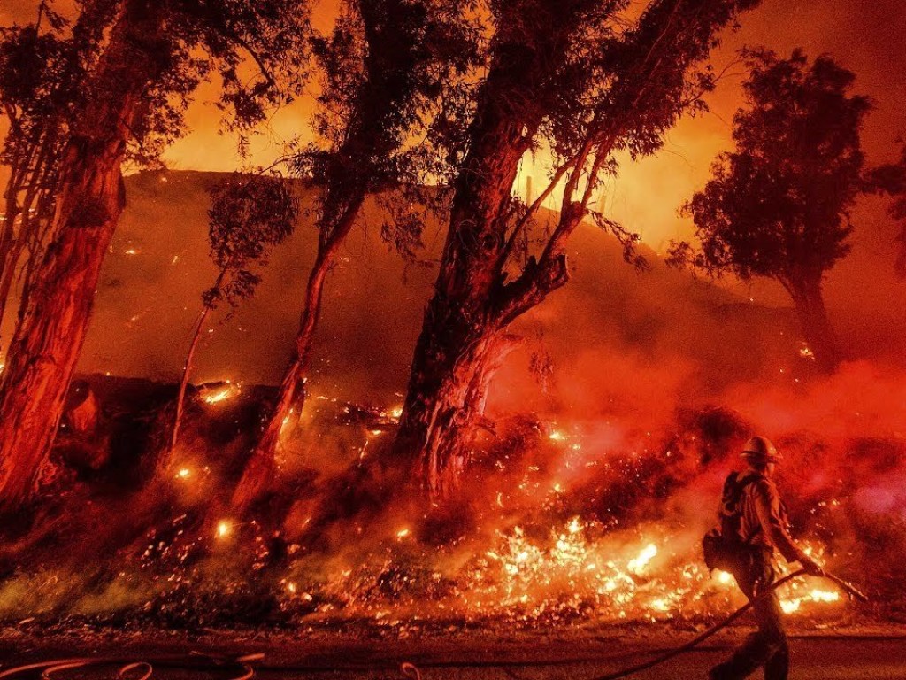 В NASA показали, как дым австралийских пожаров распространился по всей атмосфере планеты (ФОТО)