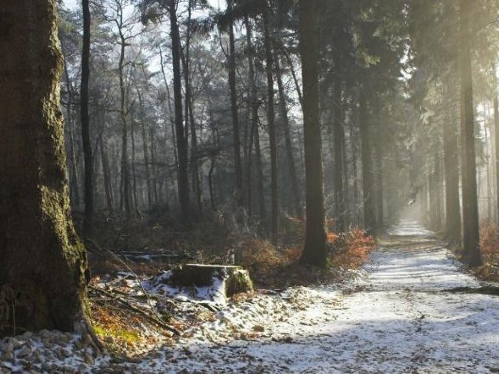 Прогноз погоды на 20 января: в Украине температура воздуха будет в пределах от +3 до -5 градусов