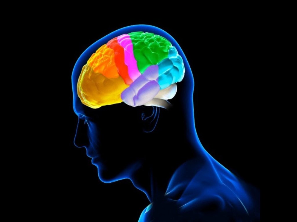 Ученые определили самый эффективный способ улучшения работы мозга