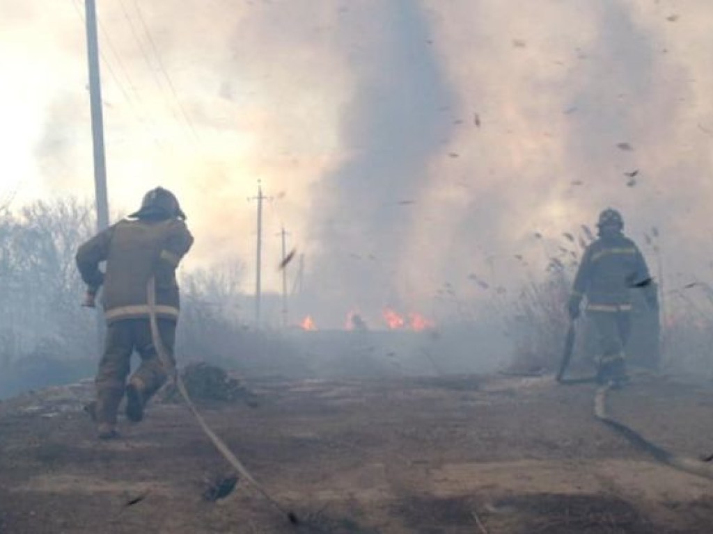 В Одессе горел камыш на огромной территории: огонь распространился на ближайшее здание (ФОТО)