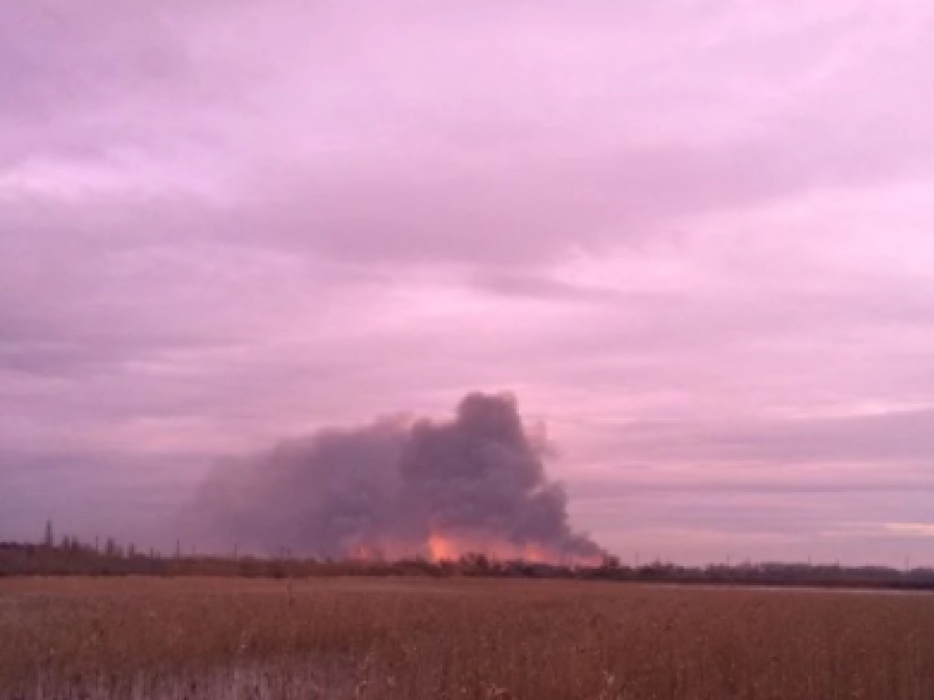 В Одесской области произошел пожар в Нижнеднестровском национальном парке: подробности ЧП (ФОТО, ВИДЕО)