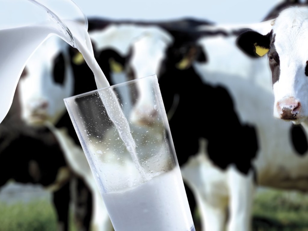 Украина из экспортера превращается в нетто-импортера молока из-за падения объема отечественного сырья &#8212; аграрий