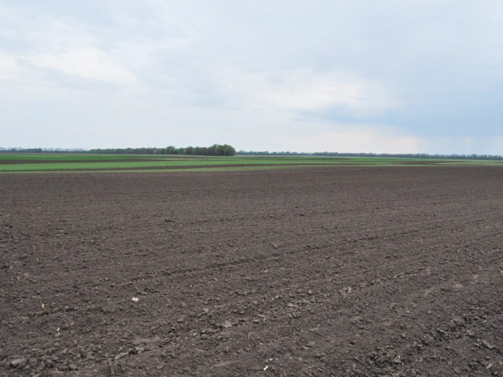 Паи подорожали: В Украине аренда сельхозземель в 2019 году стоила 100-200 евро &#8212; эксперт