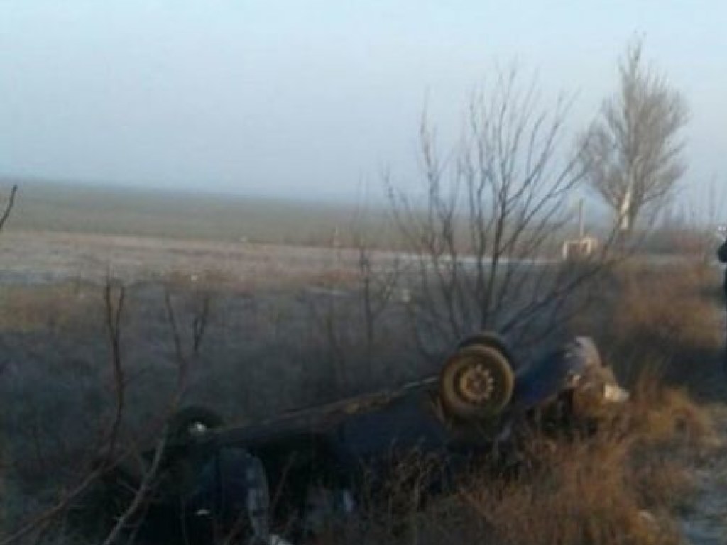 Четверо пострадавших: в Херсонской области легковушка улетела в кювет (ФОТО)
