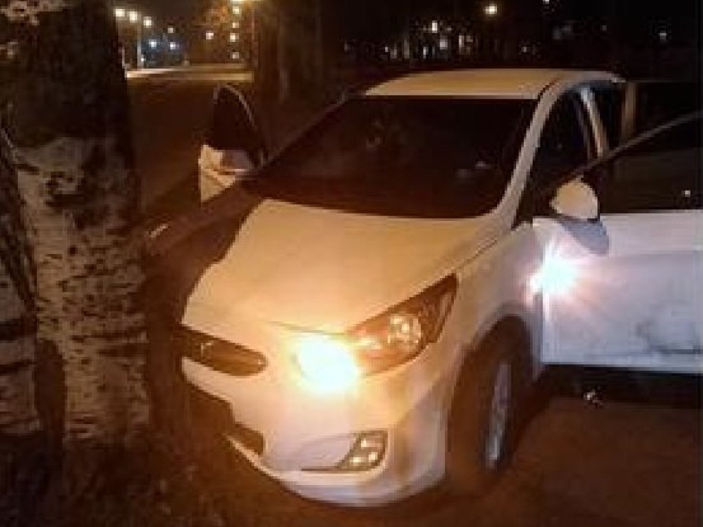 Пьяная компания на авто проигнорировала копов в Кривом Роге и влетела в дерево (ФОТО)