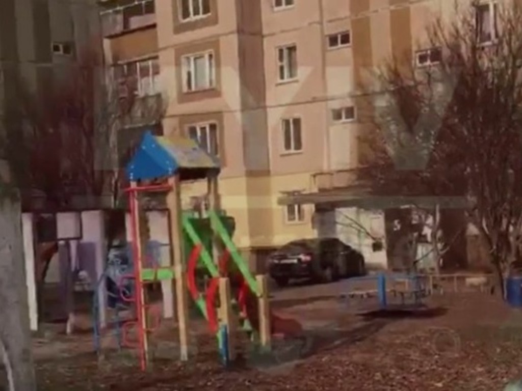 В Киеве во дворе жилого дома на детской площадке обнаружили гранату (ФОТО, ВИДЕО)