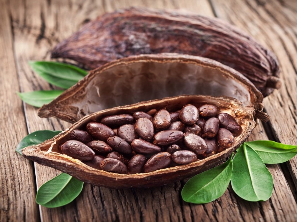 Эксперты рассказали о неоценимой пользе какао
