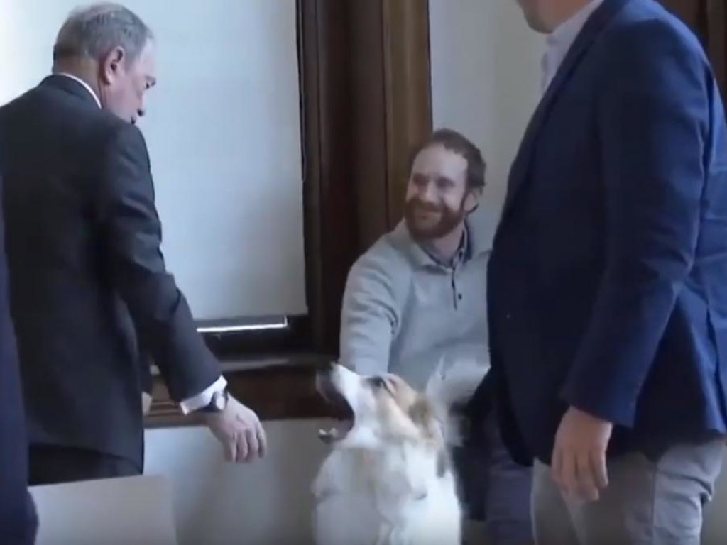 В США миллиардер Блумберг на встрече с избирателями пожал псу пасть (ФОТО, ВИДЕО)