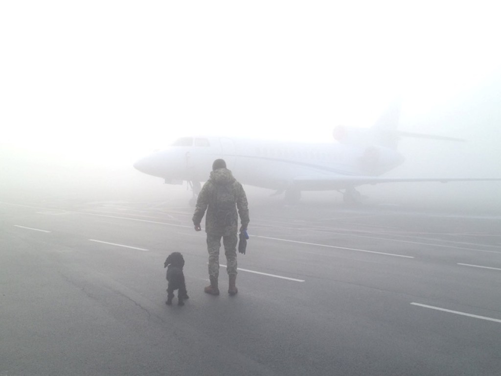 В аэропорту «Киев» из-за тумана задержали и отменили некоторые рейсы