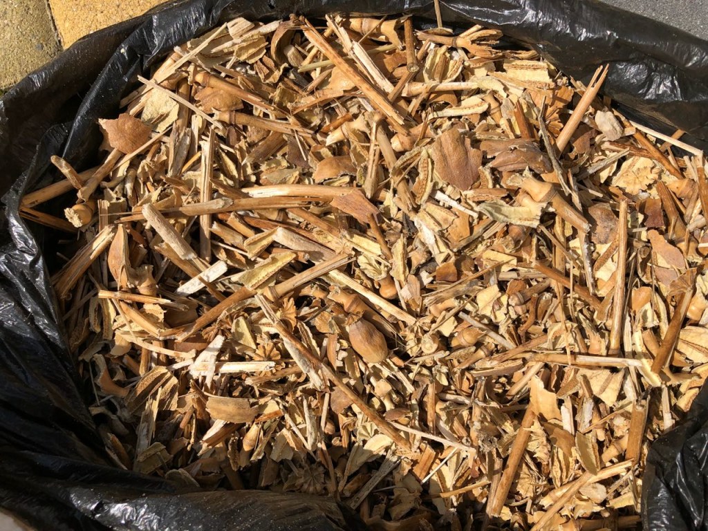 Опий и маковая соломка: в Житомирской области полиция сожгла 400 килограммов наркотиков (ВИДЕО)