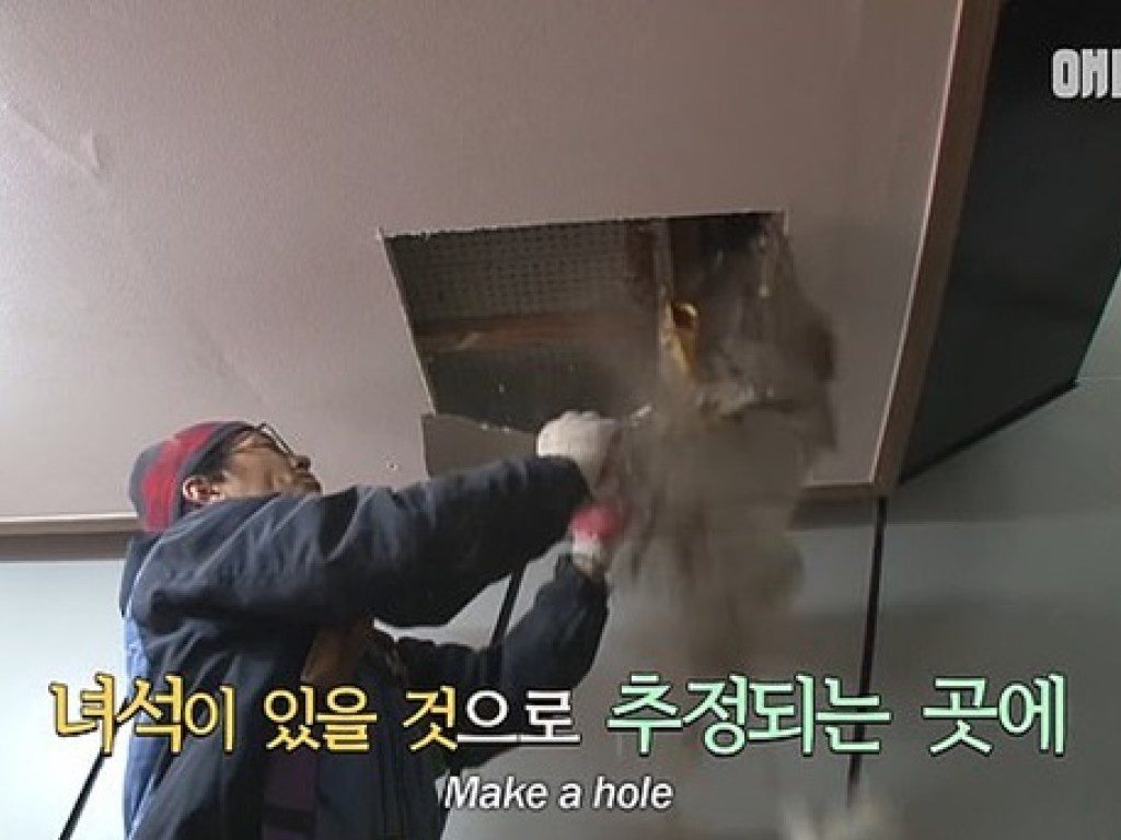 В Южной Корее спасли кота, который два года назад застрял в стене ТРЦ (ФОТО, ВИДЕО)