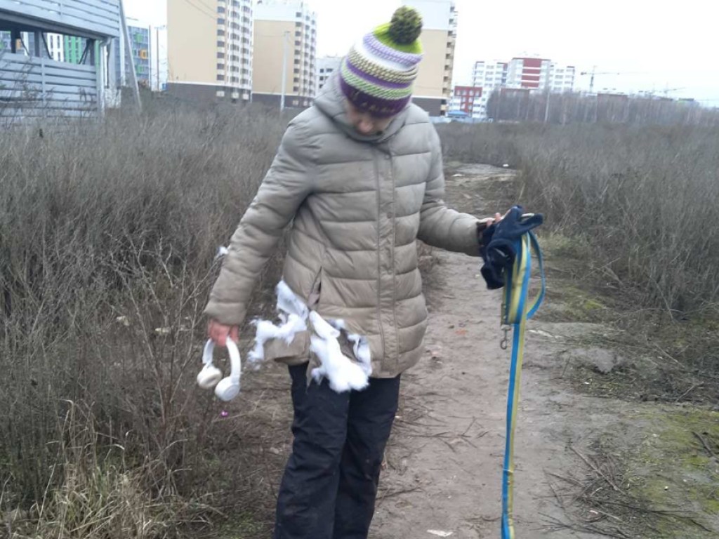 Пострадавших госпитализировали: Под Киевом бойцовские собаки покусали двух женщин (ФОТО)