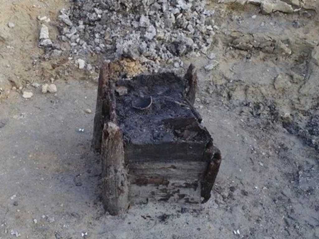 Более 5 тысяч лет до нашей эры: археологи обнаружили древнейшую деревянную постройку (ФОТО)