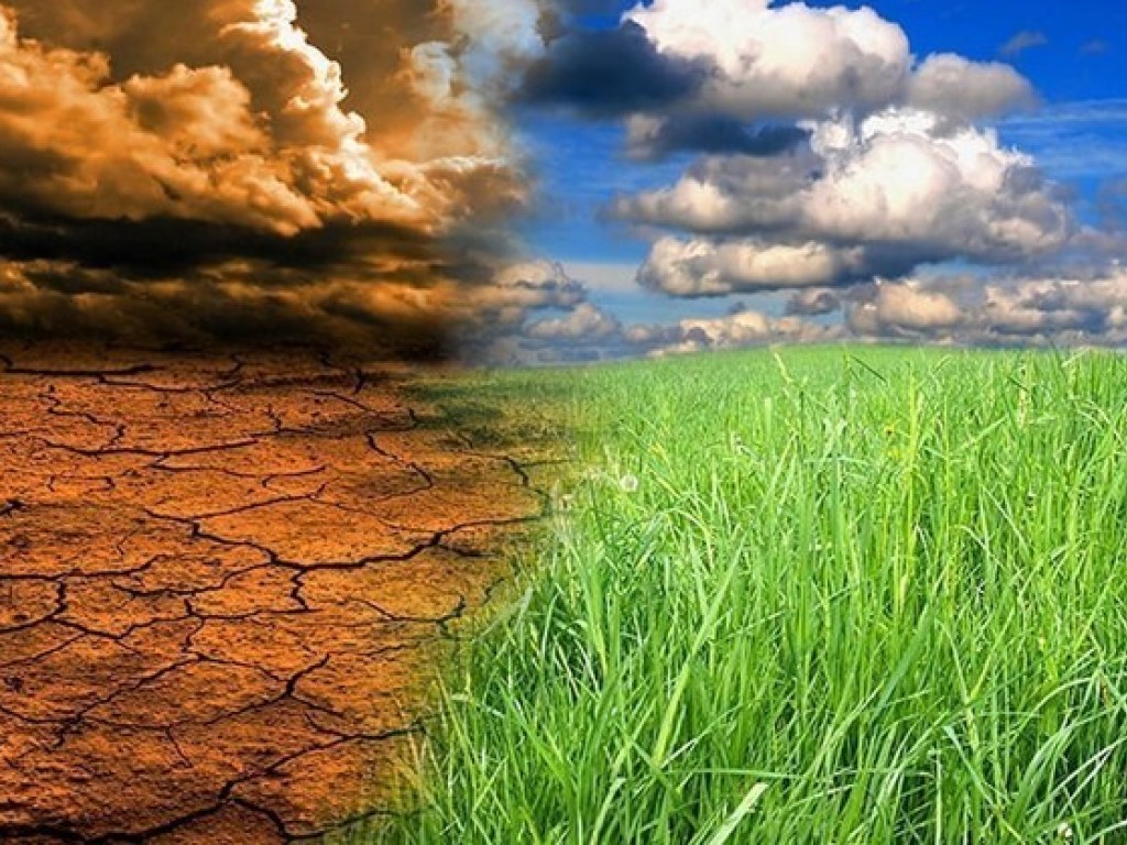 В Украине продолжается необратимый процесс изменения климата – агрометеоролог