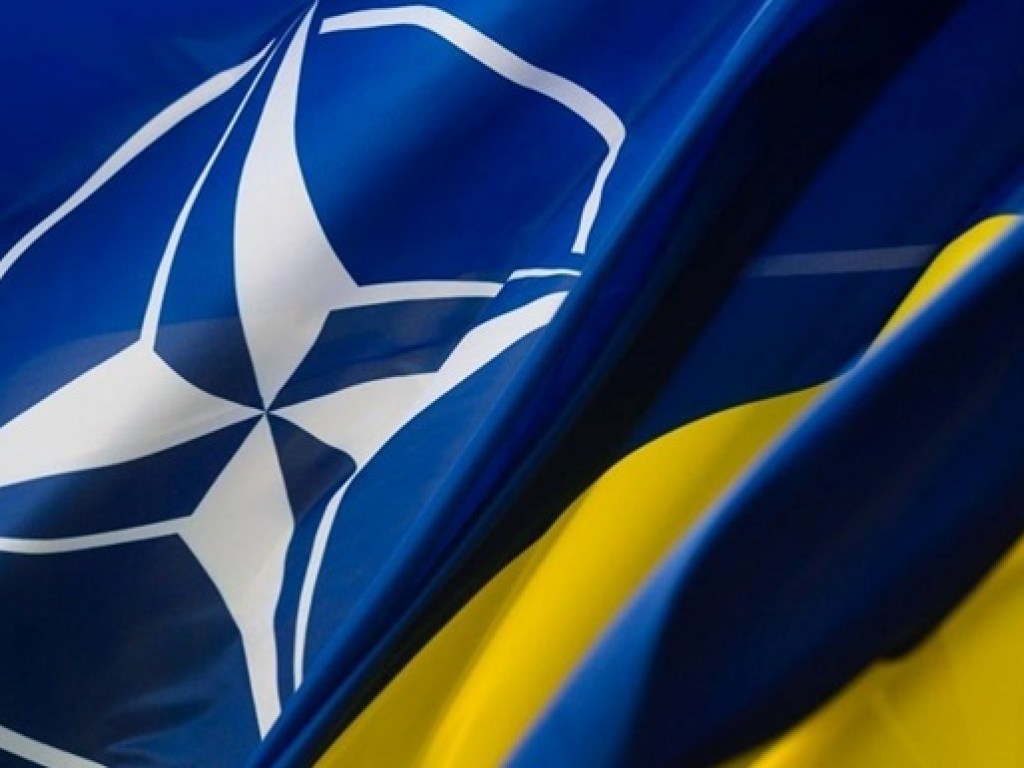 Кабмин одобрил Годовую национальную программу Украина-НАТО