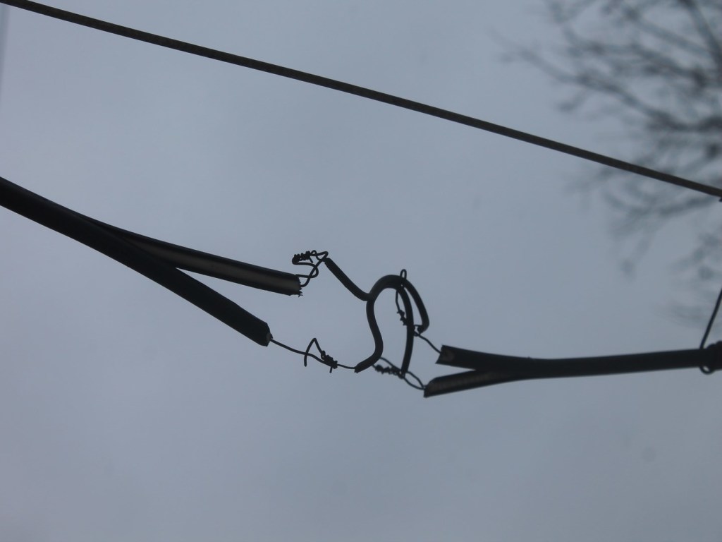 В пригороде Днепра оголенные провода упали на мокрый снег: током убило нескольких животных (ФОТО)