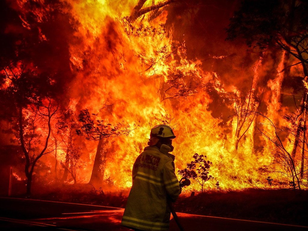 А. Хмарная: «Лесам Австралии понадобится до 100 лет, чтобы поглотить парниковые газы после пожаров»