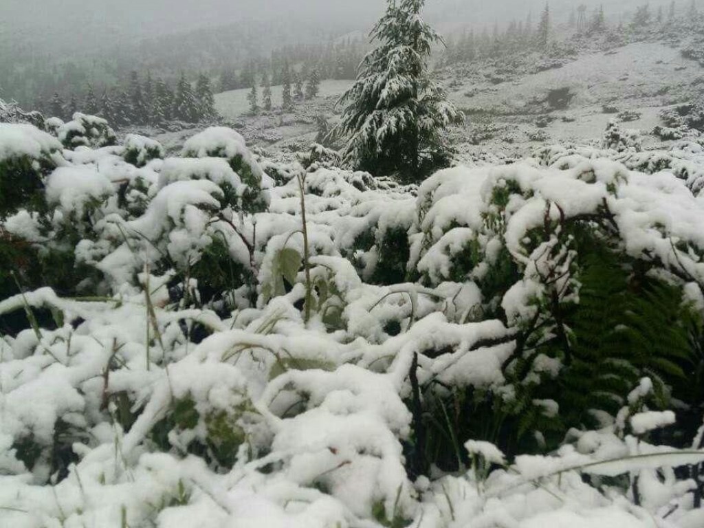 В Карпатах выпал метровый слой снега
