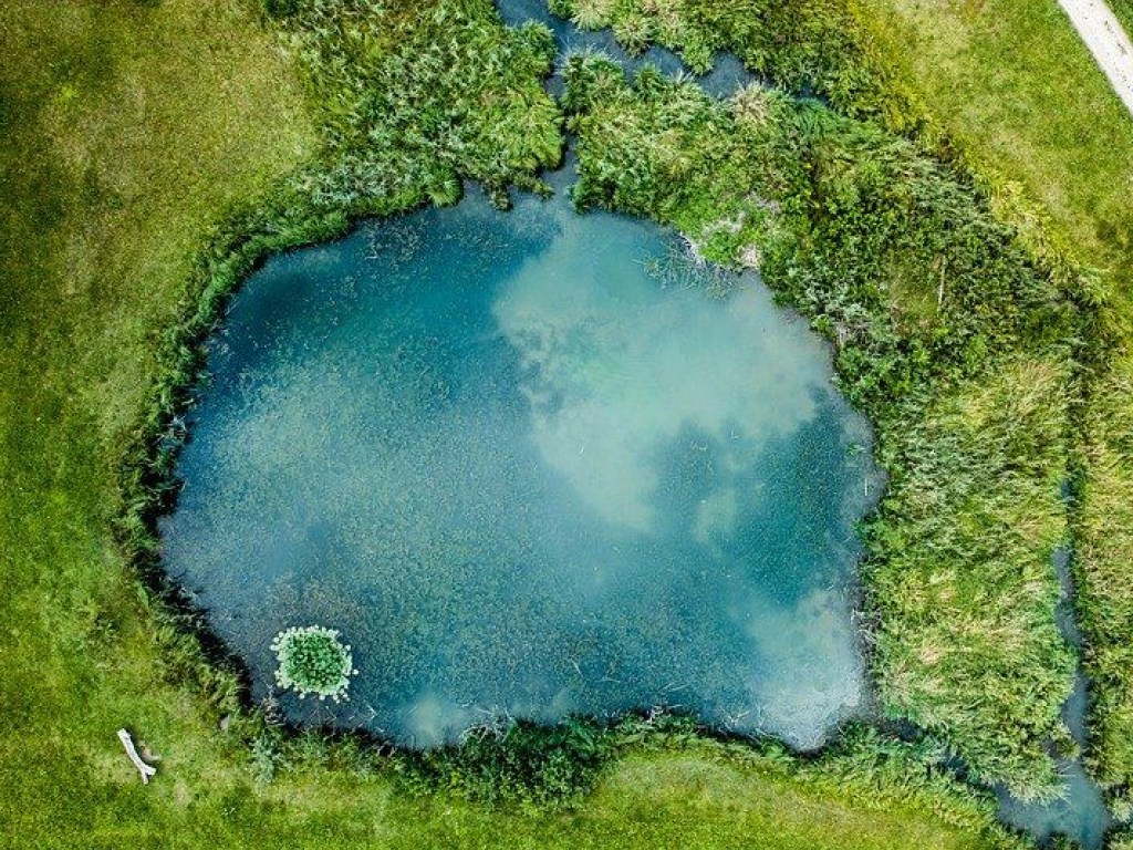 Леса станут озерами: Ученые назвали очередную угрозу глобального потепления