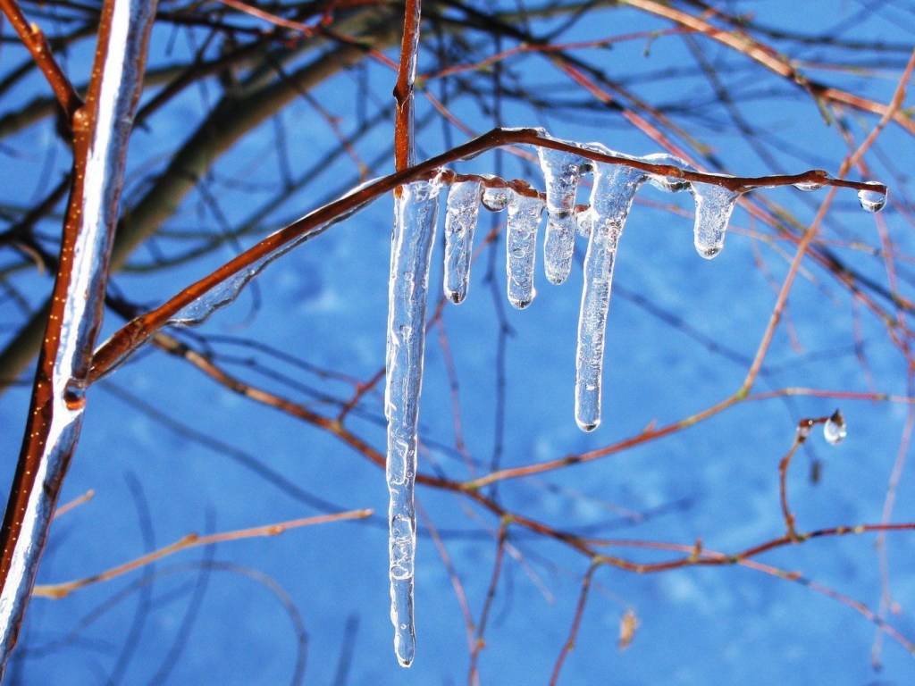 Сегодня в Украине начнутся значительные морозы: синоптики предупредили об ухудшении погоды