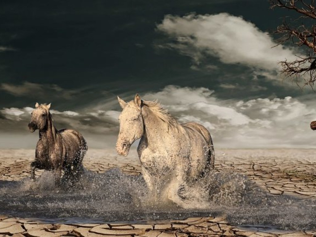 Американские ученые сделали сенсационное открытие о лошадях