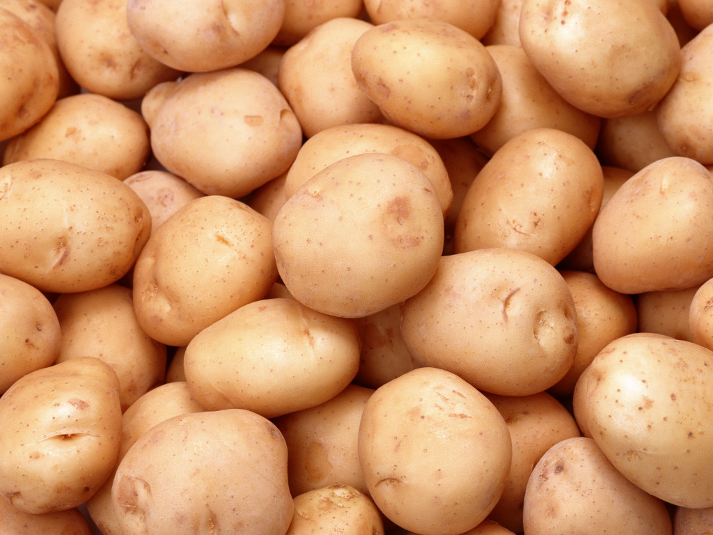 В Украине около трети произведенного картофеля выбрасывается