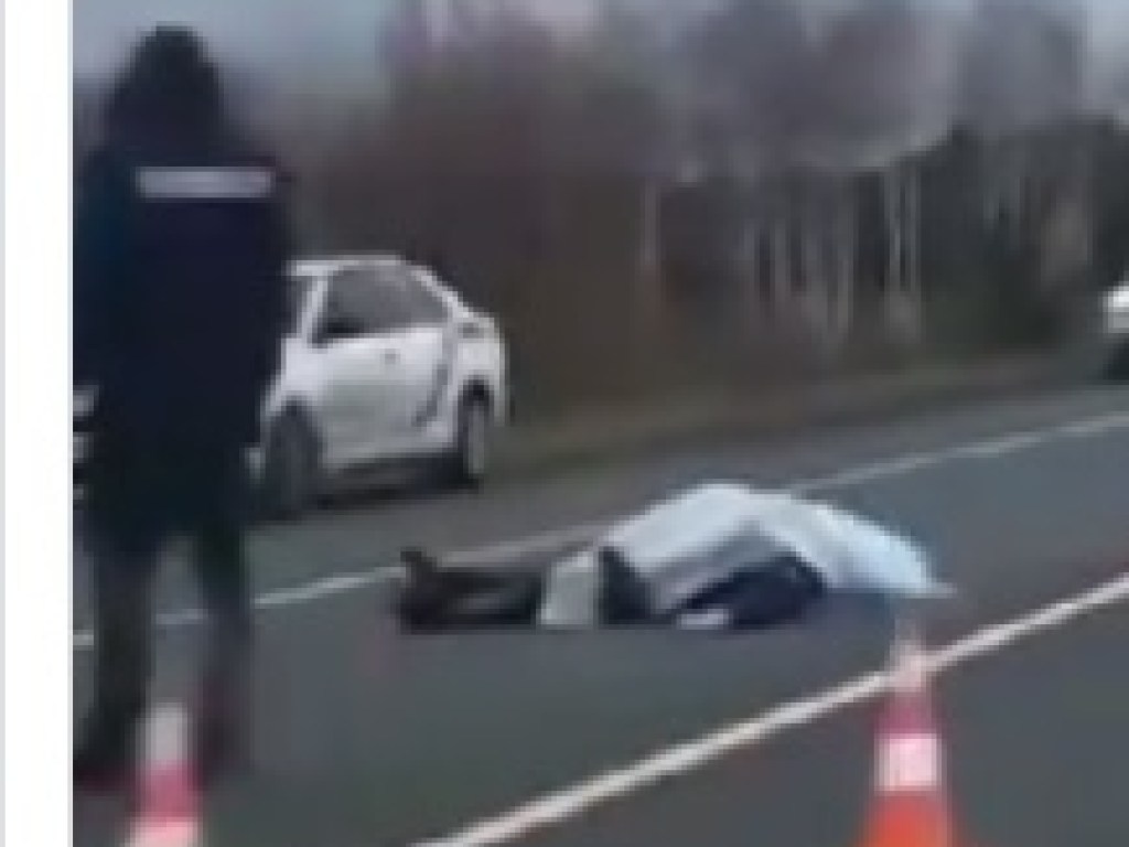 «Лобовое» ДТП под Киевом: один из участников аварии погиб (ВИДЕО)