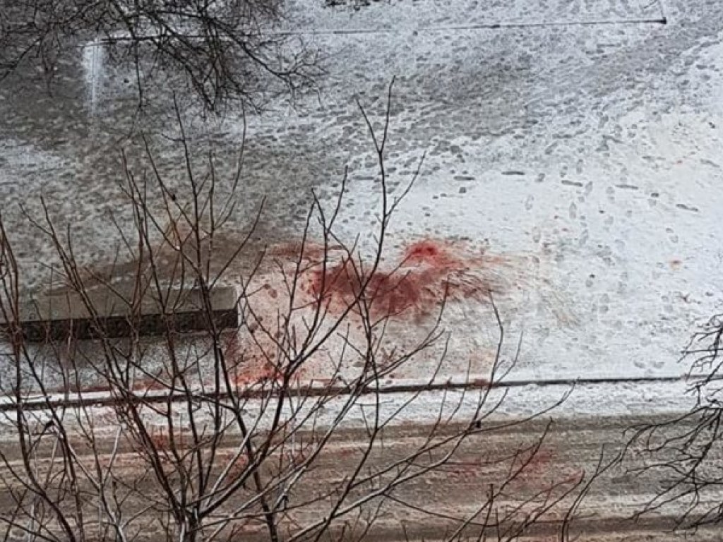 В Запорожье жильцы ужаснулись огромному пятну крови на снегу во дворе (ФОТО)