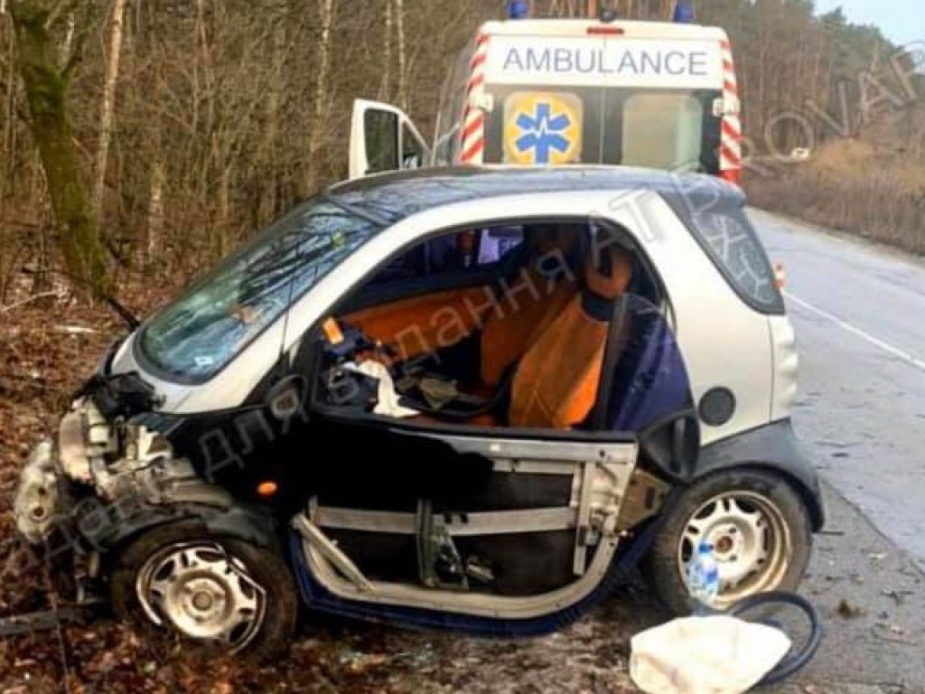 Под Киевом автоледи на Smart врезалась в дерево: есть пострадавшие (ФОТО)