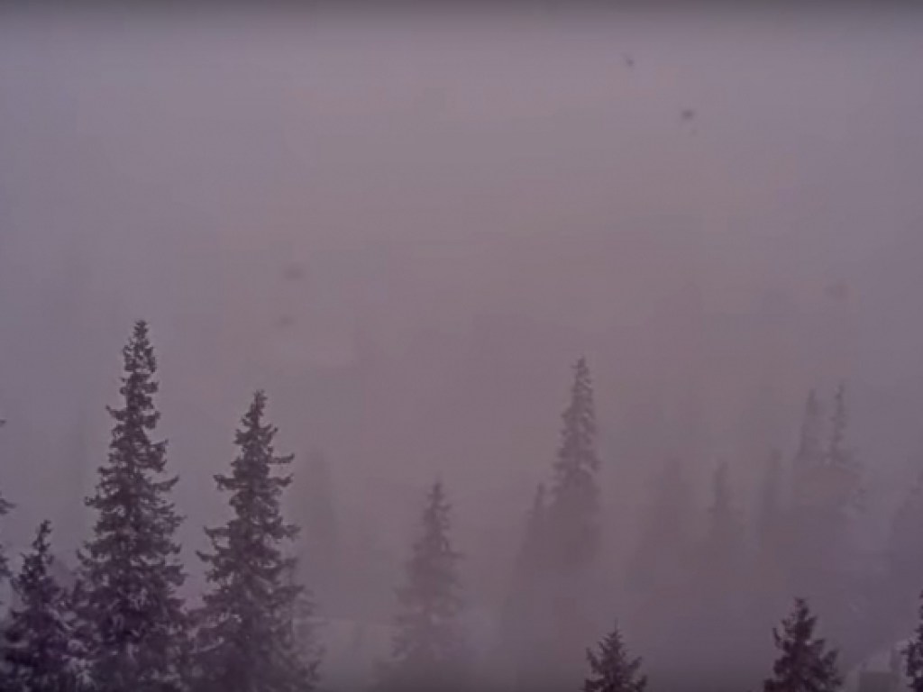 Горнолыжный курорт Закарпатья оказался в снежном плену: жуткое видео